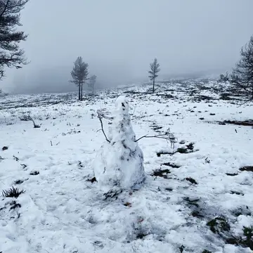 SOTA activation CT/TM-003 Vaqueiro 1311 m