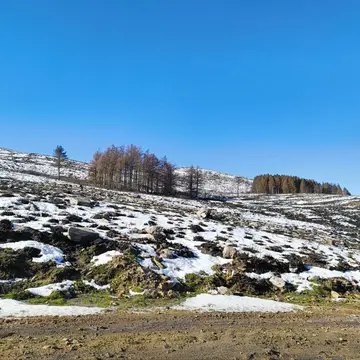 SOTA activation CT/TM-003 Vaqueiro 1311 m
